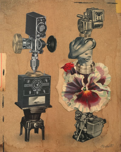 David Plunkertͼ廭Ʒ