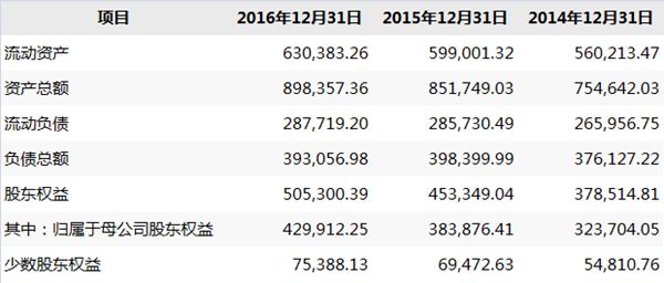 1501751343219095574.jpg 合并资产负债表(单位:万元)_副本.jpg