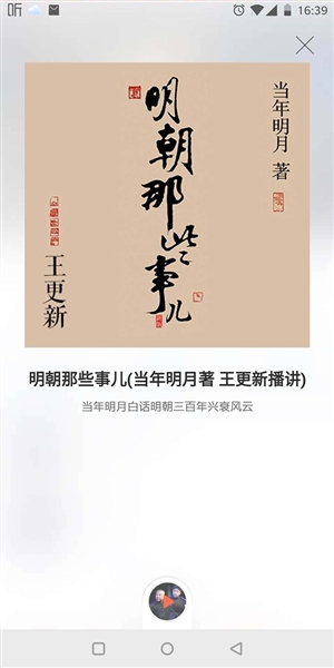 p1_b.jpg